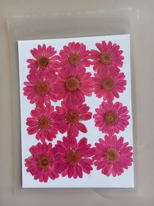 Pressed Flower - Hot Pink