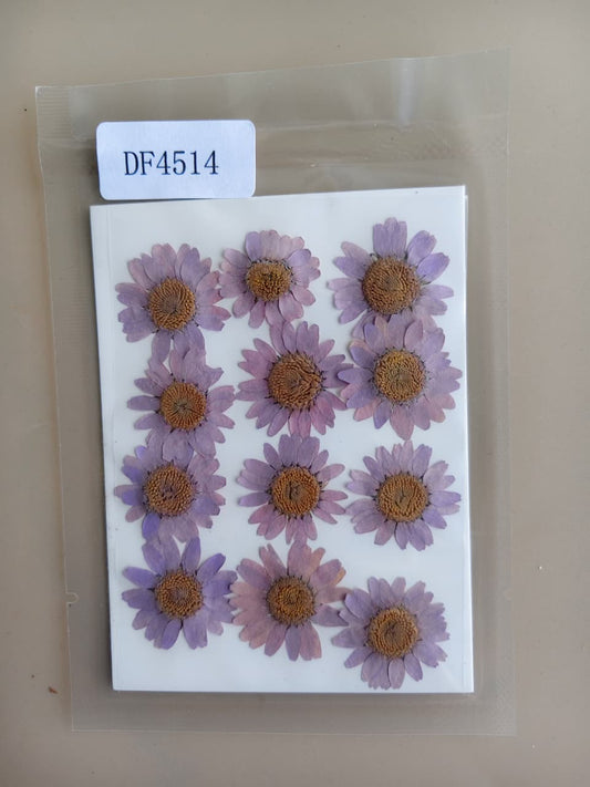 Pressed Flower - Lilac