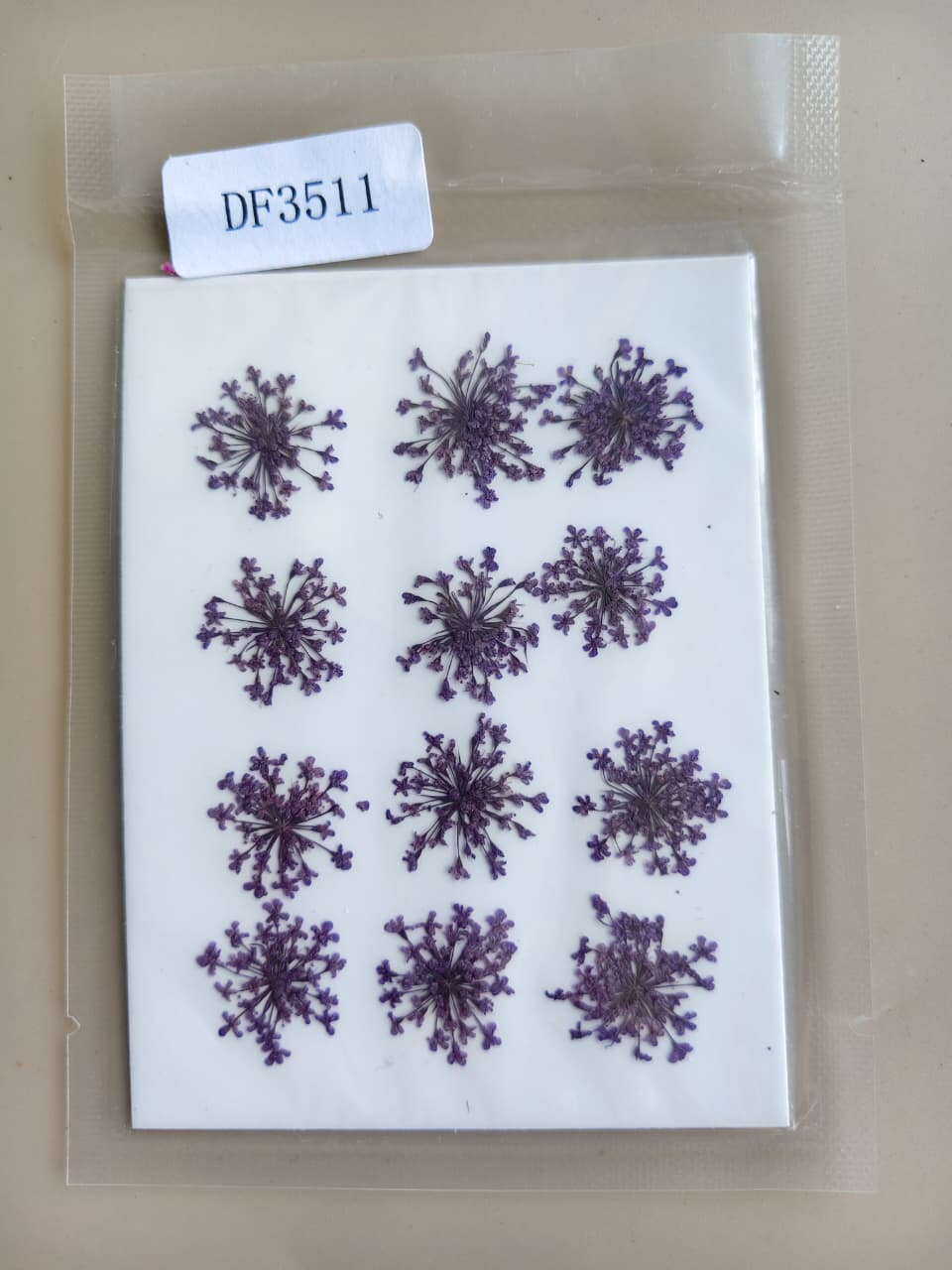 Pressed baby breads Purple