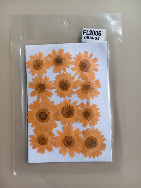 Pressed Flower - Light Orange