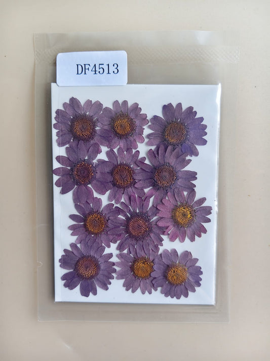 Pressed Flower - Purple
