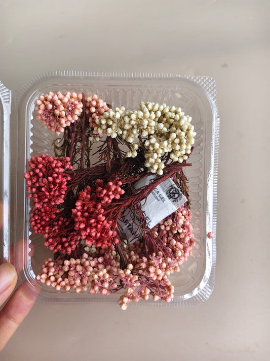 Dried Rice Flowers