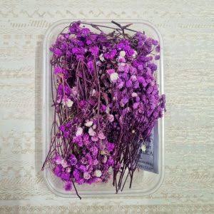 Baby breath/Gypsy dry flowers - Purple