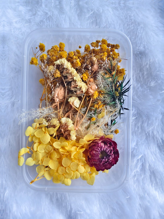 Dry flowers box - F1