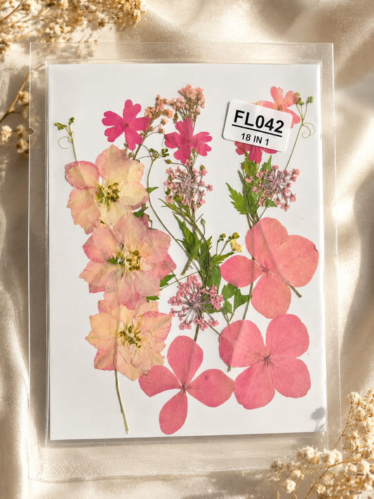 18 In 1 Pressed Flowers