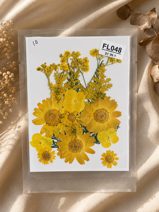 21 In 1 Pressed Flowers yellow