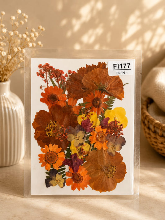 30 In 1 Pressed Flowers