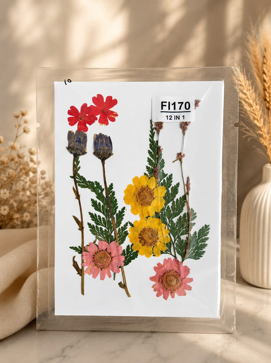 12  In 1 Pressed Flowers