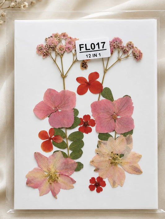 12  In 1 Pressed Flowers