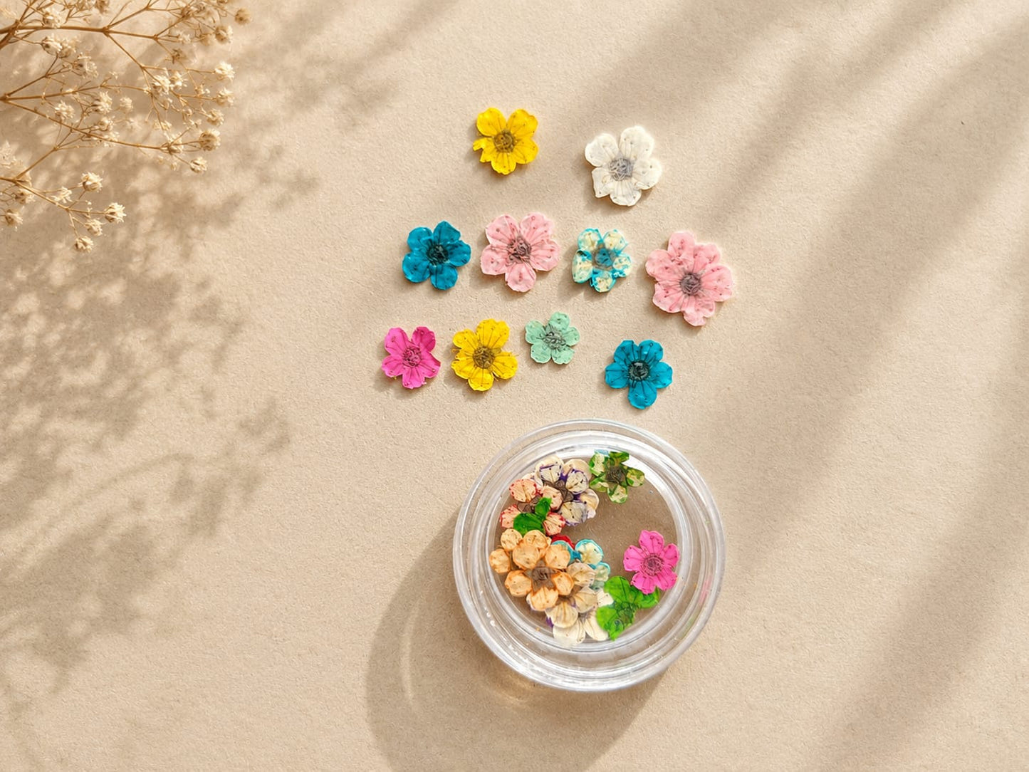 Mini Pressed Flowers