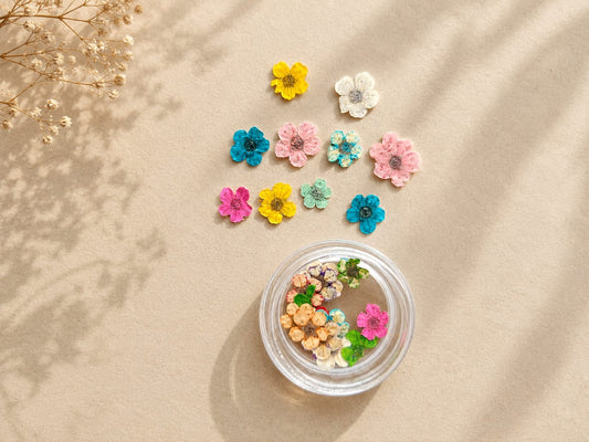Mini Pressed Flowers