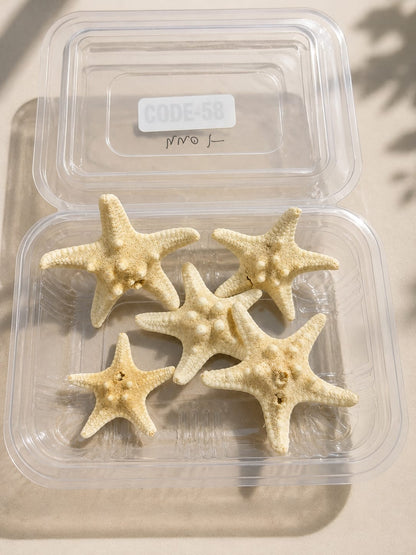 Real Star Fish pack - A
