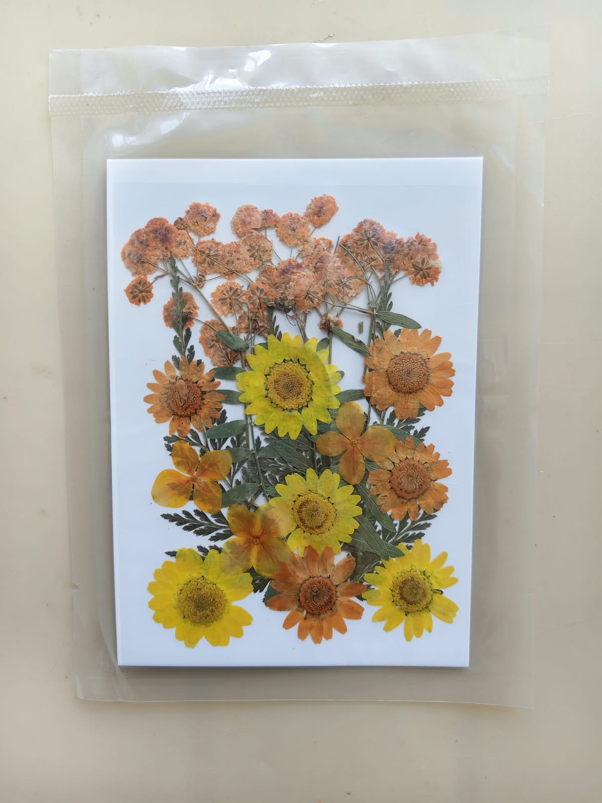 Pressed Flowers -M
