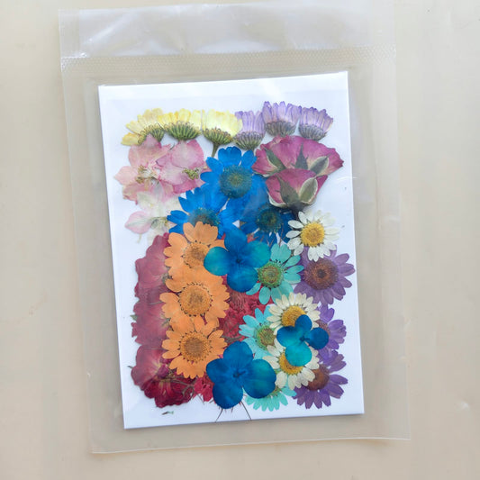 Pressed Flowers - O