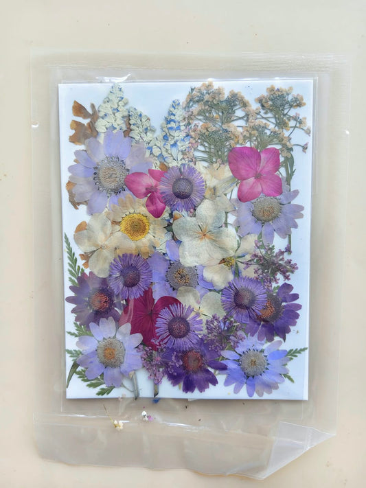 Pressed Flower - D
