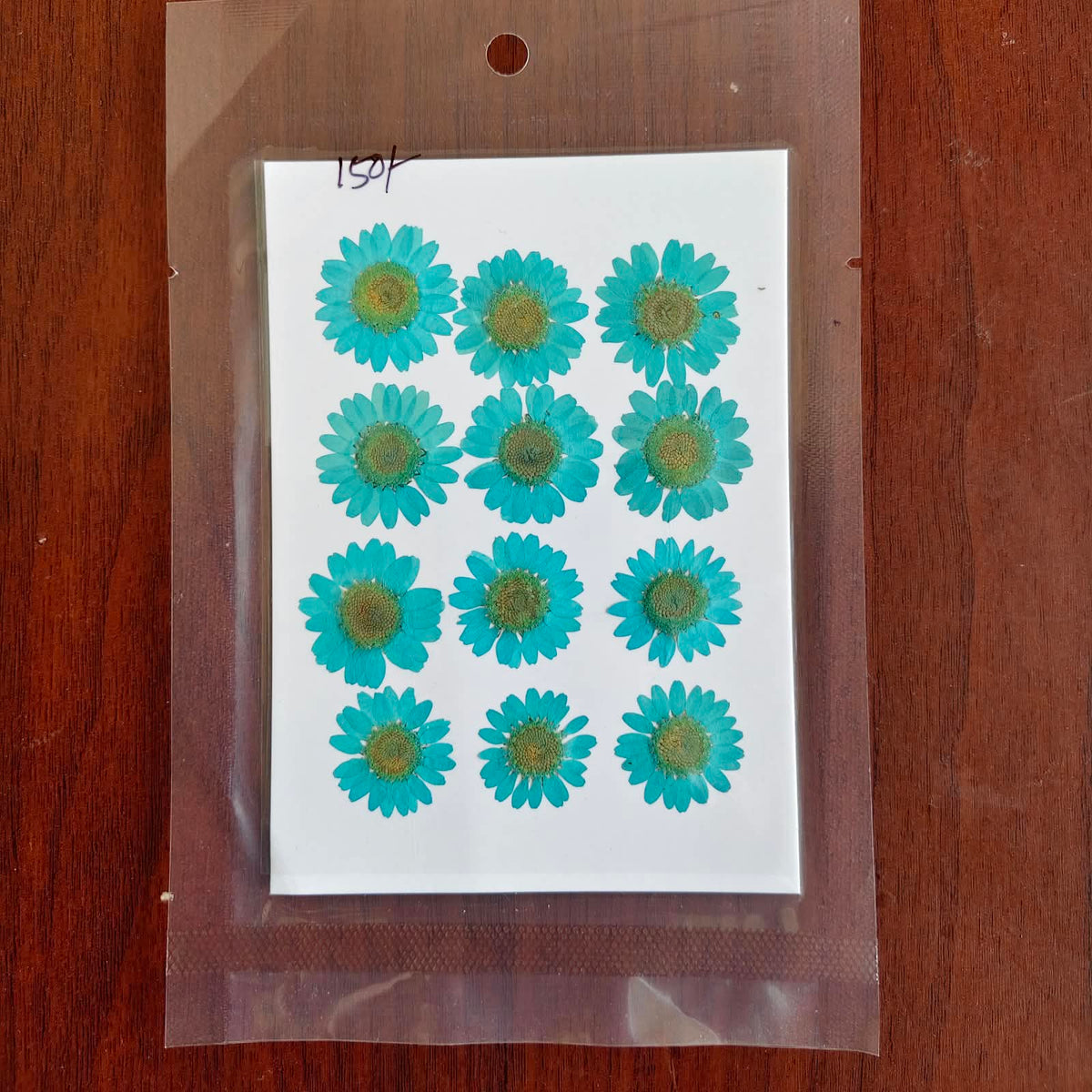 Daisy Pressed Flower - Firozi