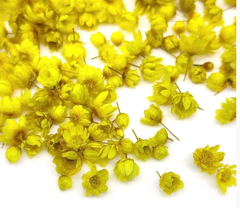 Dry small flowers box 140 pcs- Yellow