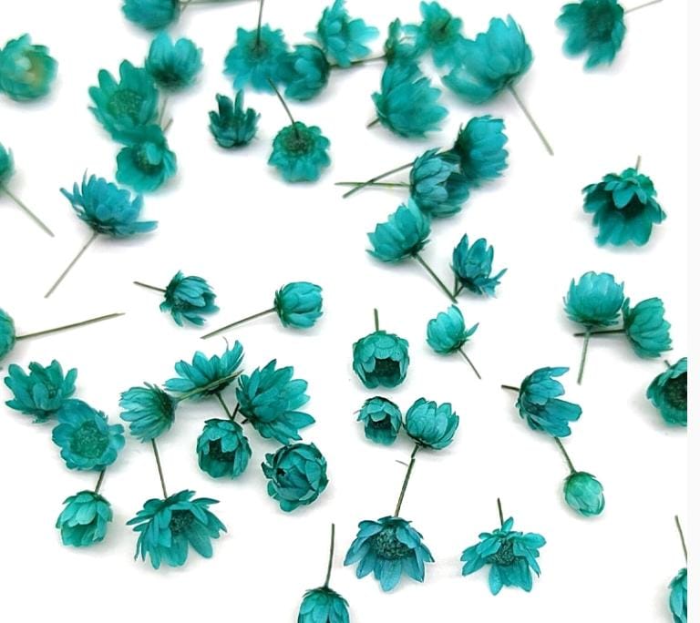 Dry small flowers box 140 pcs- Peacock blue