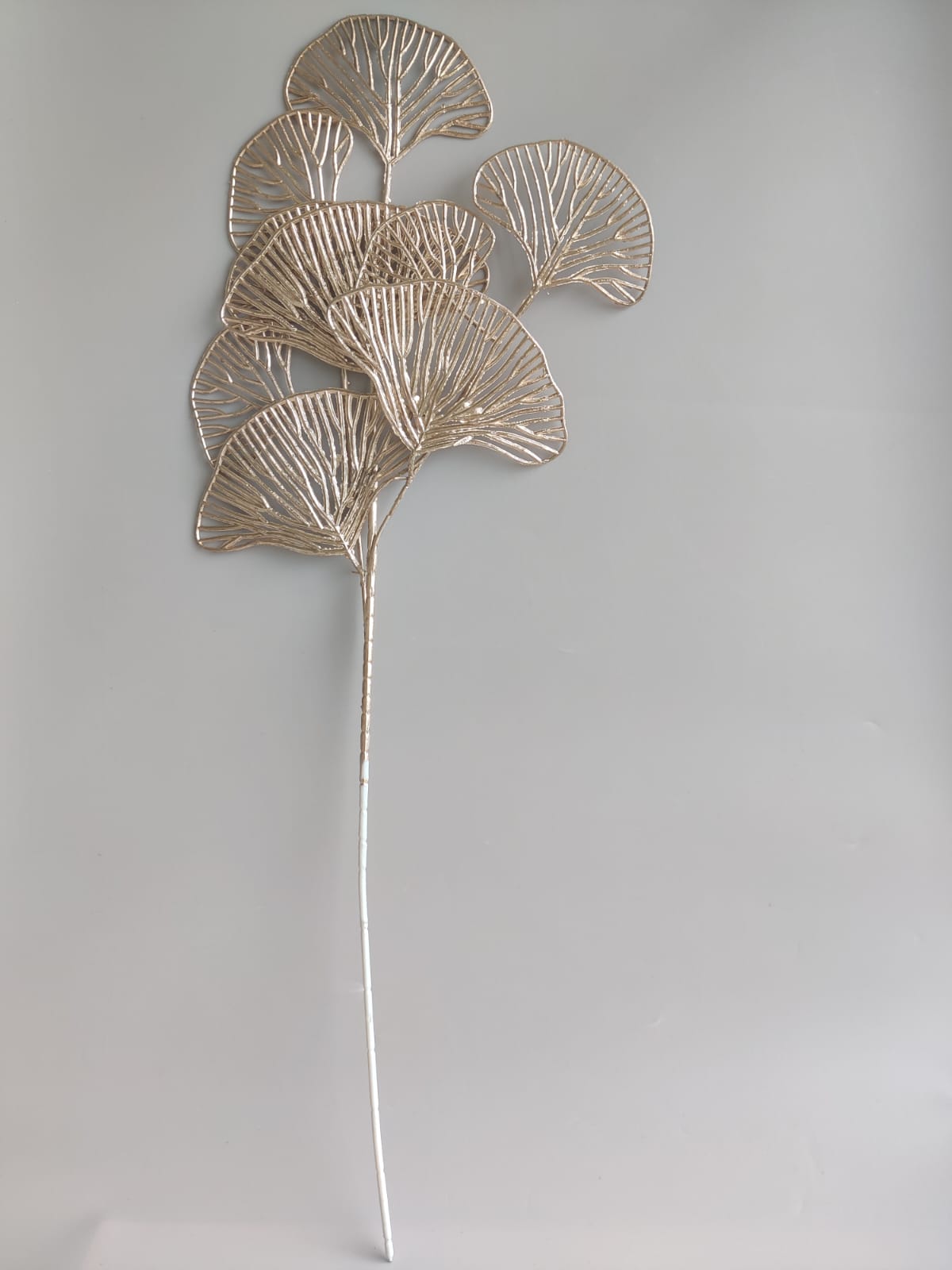 Mushroom branch