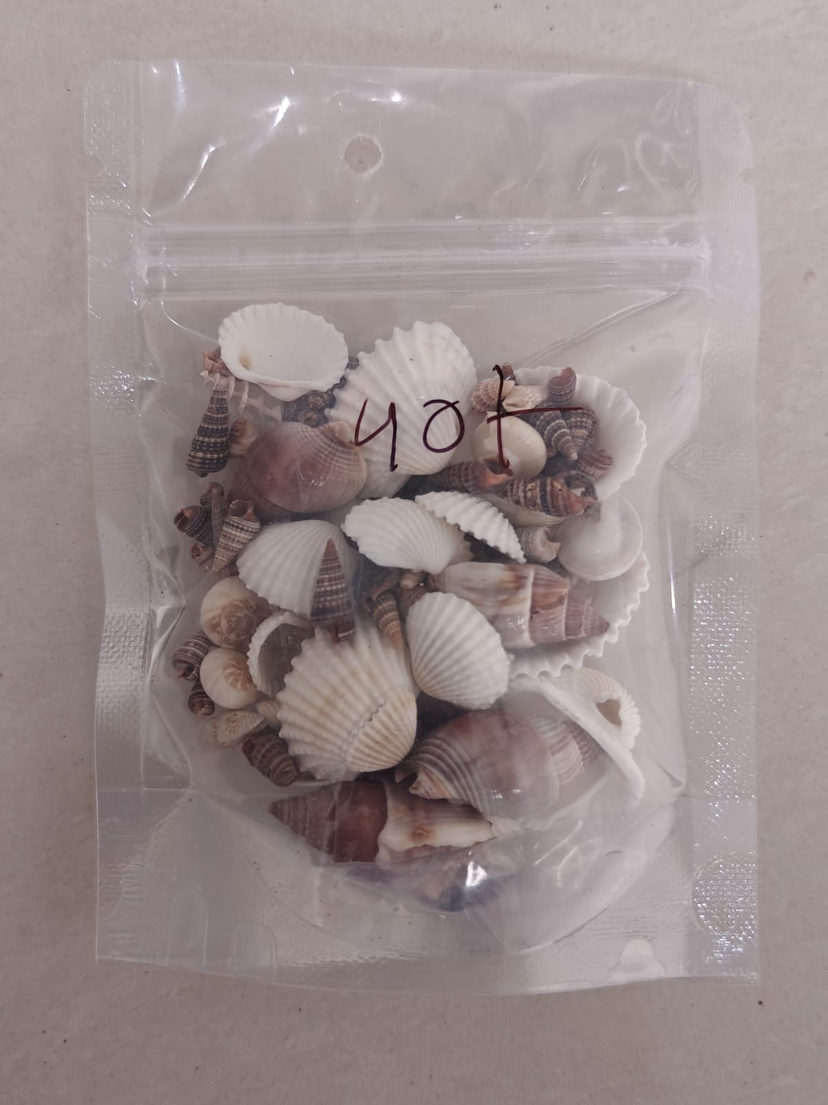Shells