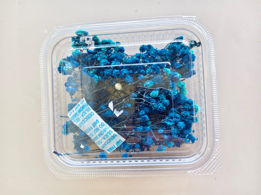 Baby breath / Gypsy dry flowers - Blue