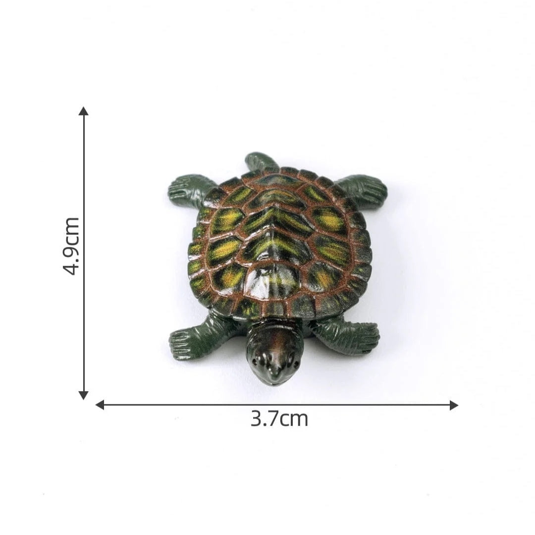 Turtle Miniature
