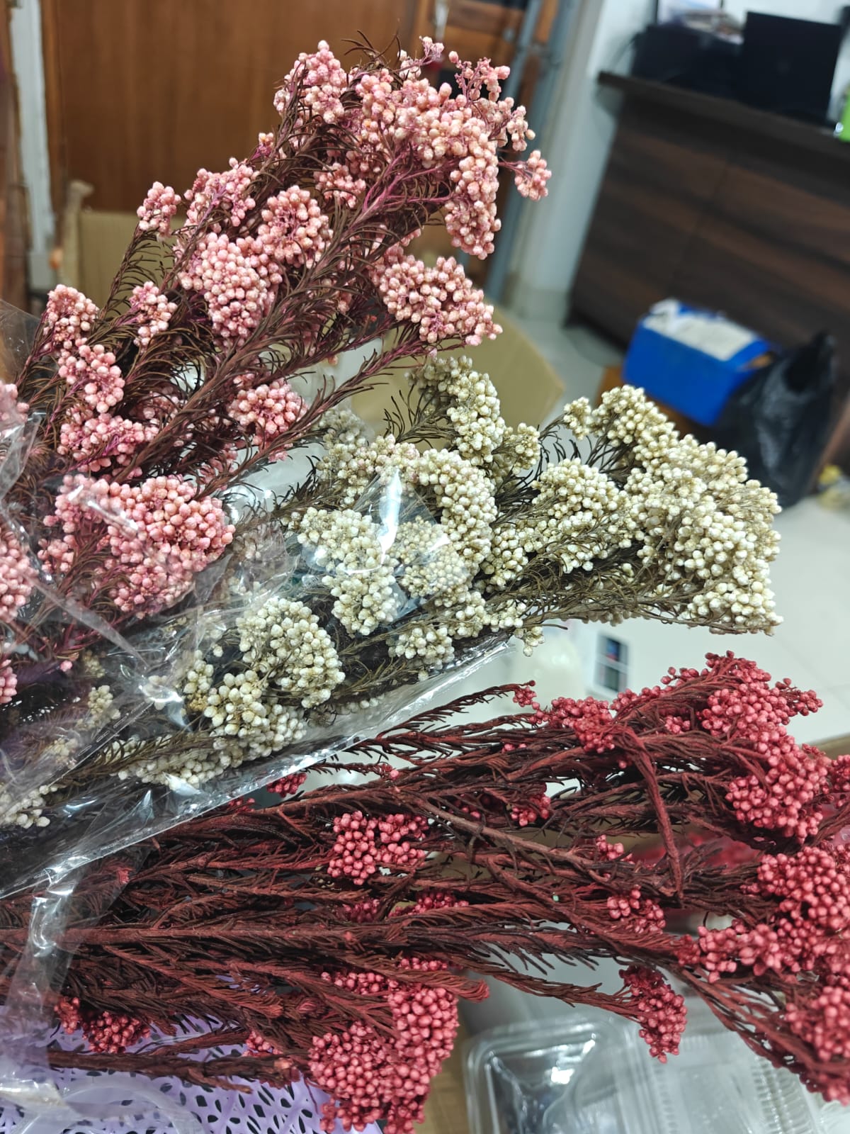 Dried Rice Flowers
