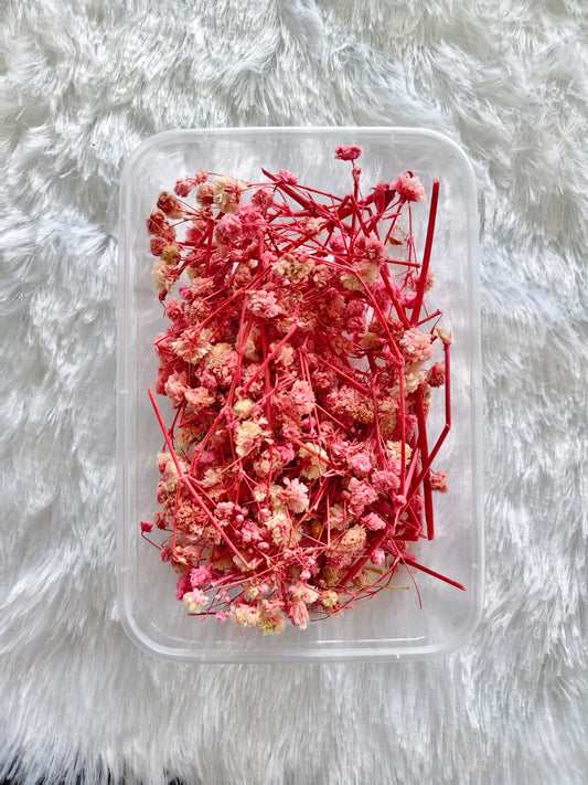 Baby Breath/Gypsy Dry Flowers - Baby Pink