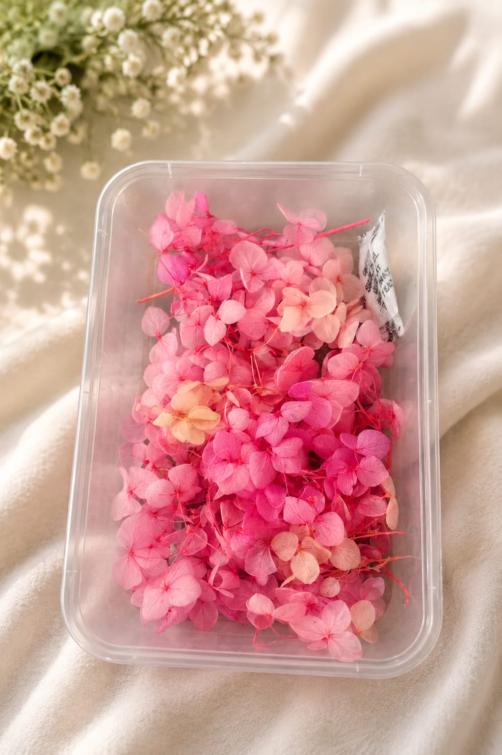 Hydrangea flowers