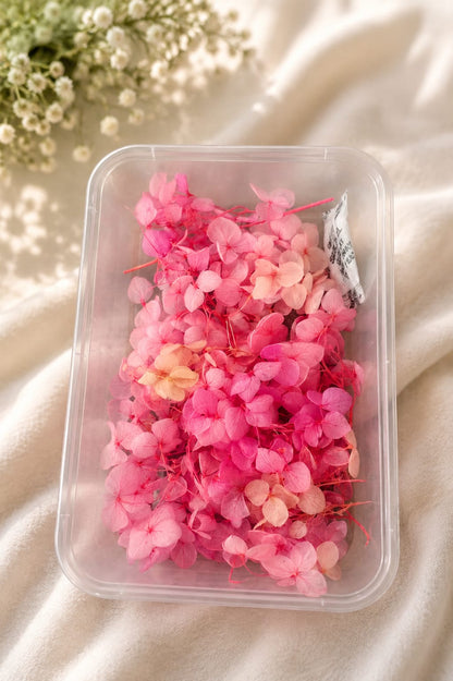 Hydrangea flowers