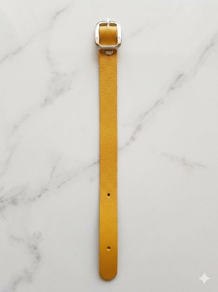 Luggage tags Belt