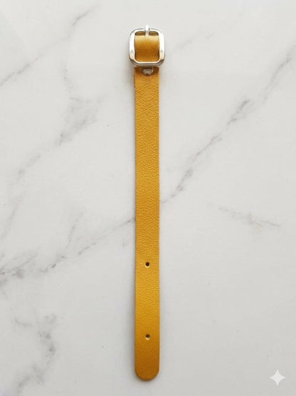 Luggage tags Belt