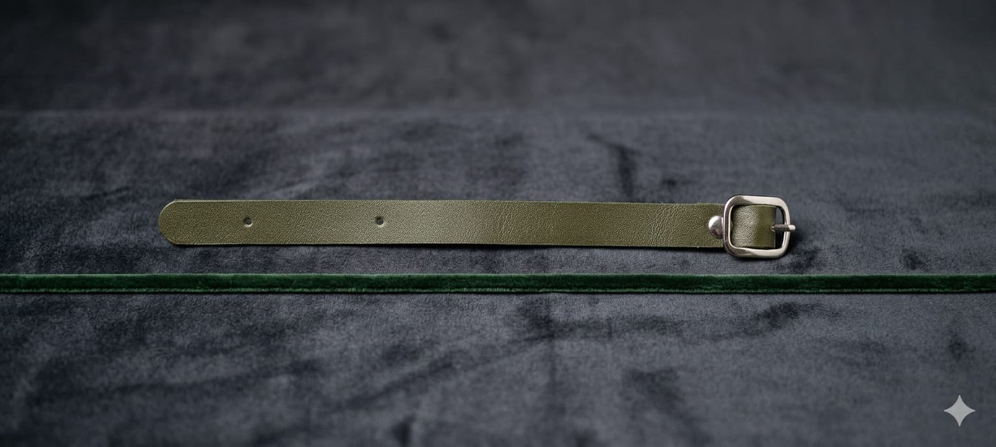 Luggage tags Belt
