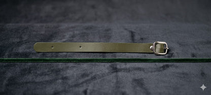 Luggage tags Belt