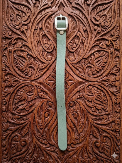 Luggage tags Belt
