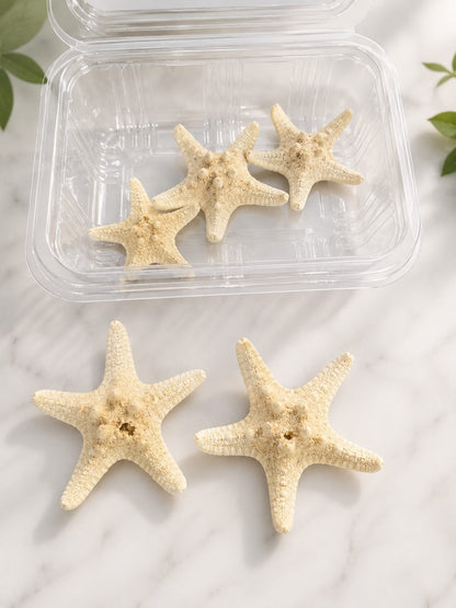 Real Star Fish pack - A