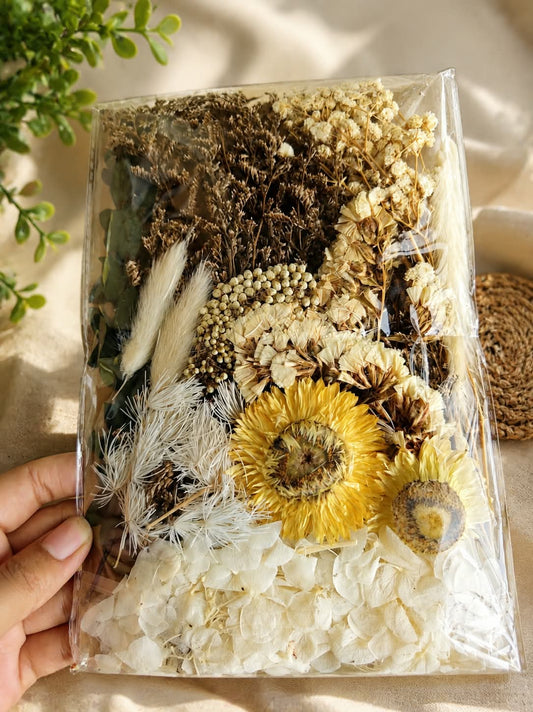 Dry Flowers Packet  Off White