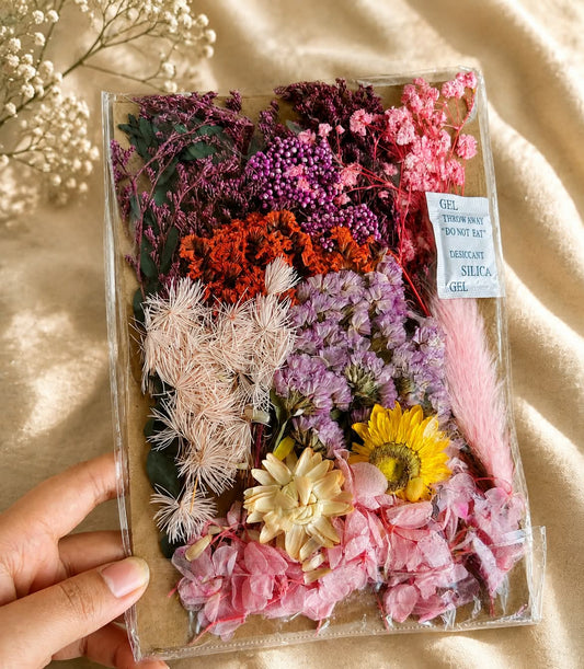Dry Flowers Packet Pink & Purple