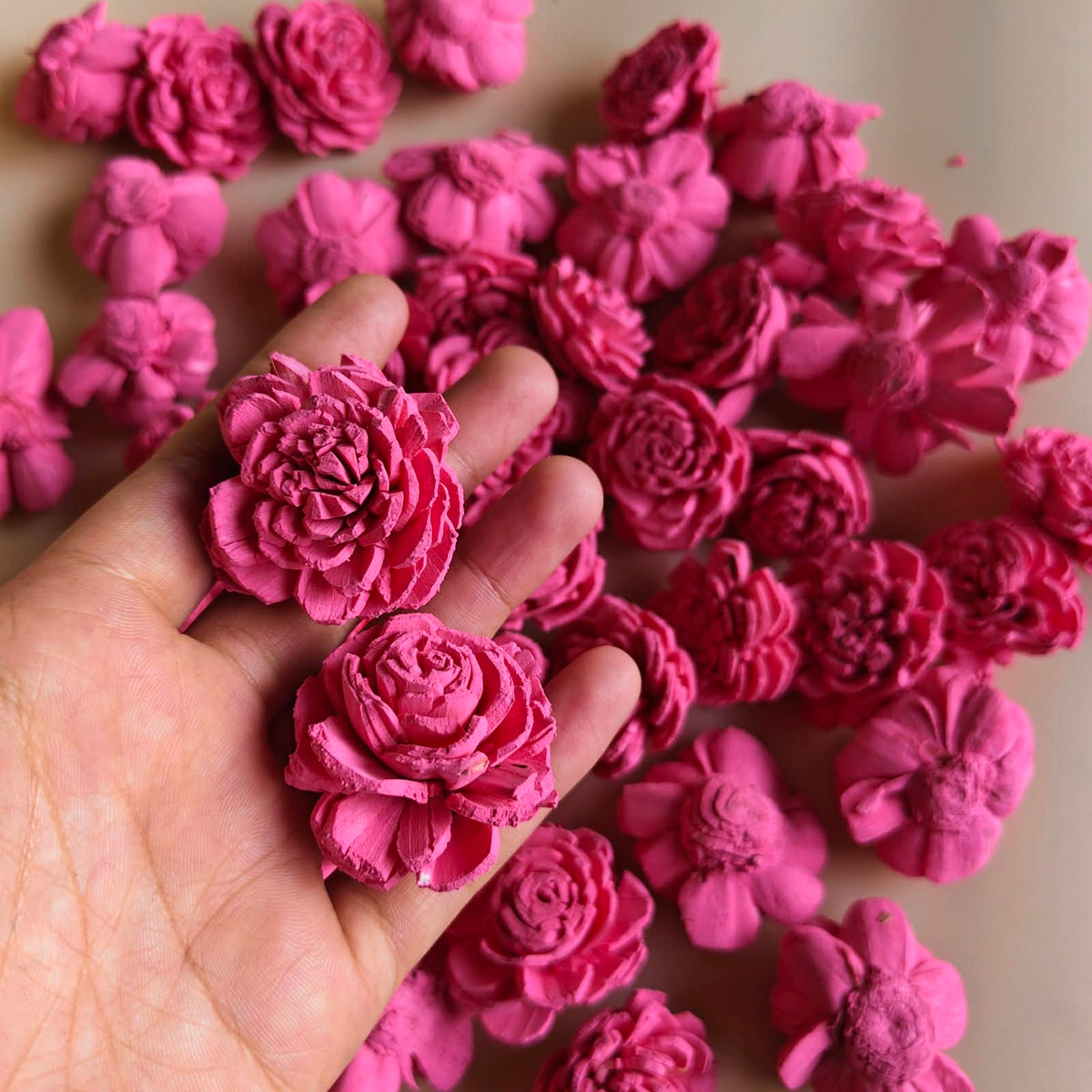 Flower - Sola Rose