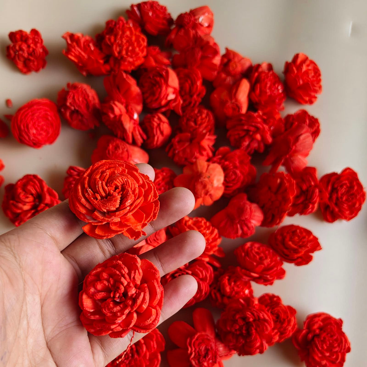 Flower - Sola Rose
