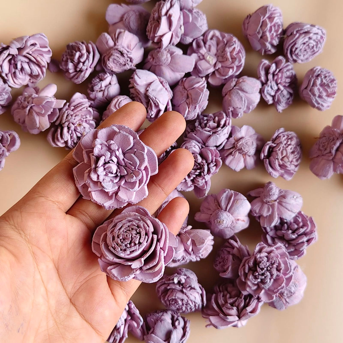 Flower - Sola Rose
