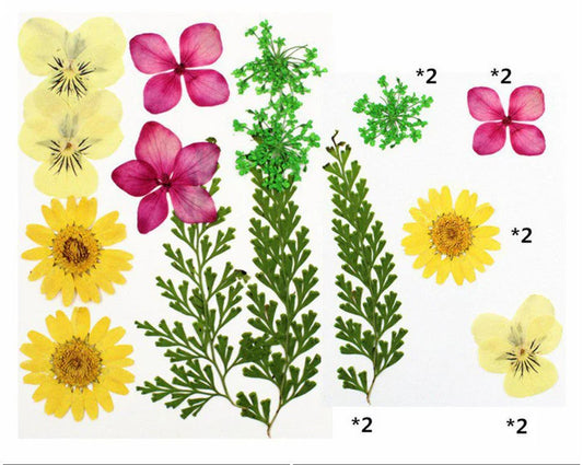 10 In 1 Pressed Flowers - M