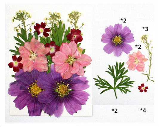 15 In 1 Pressed Flowers - L