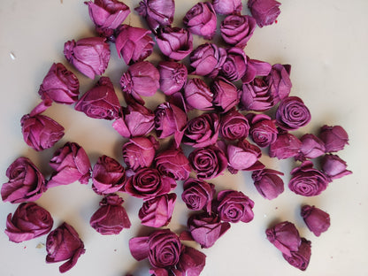 Flower - Sola Rose