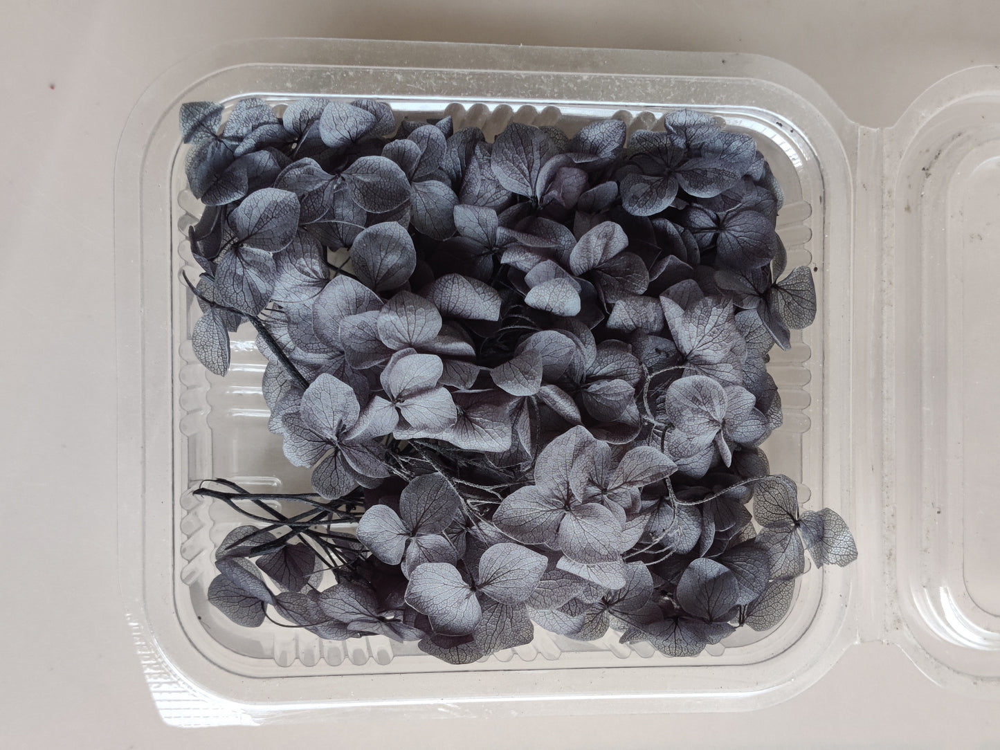 Hydrangea flowers small box