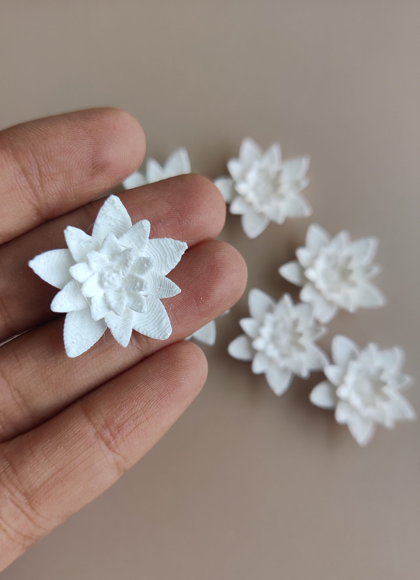 Lotus pond flower miniature