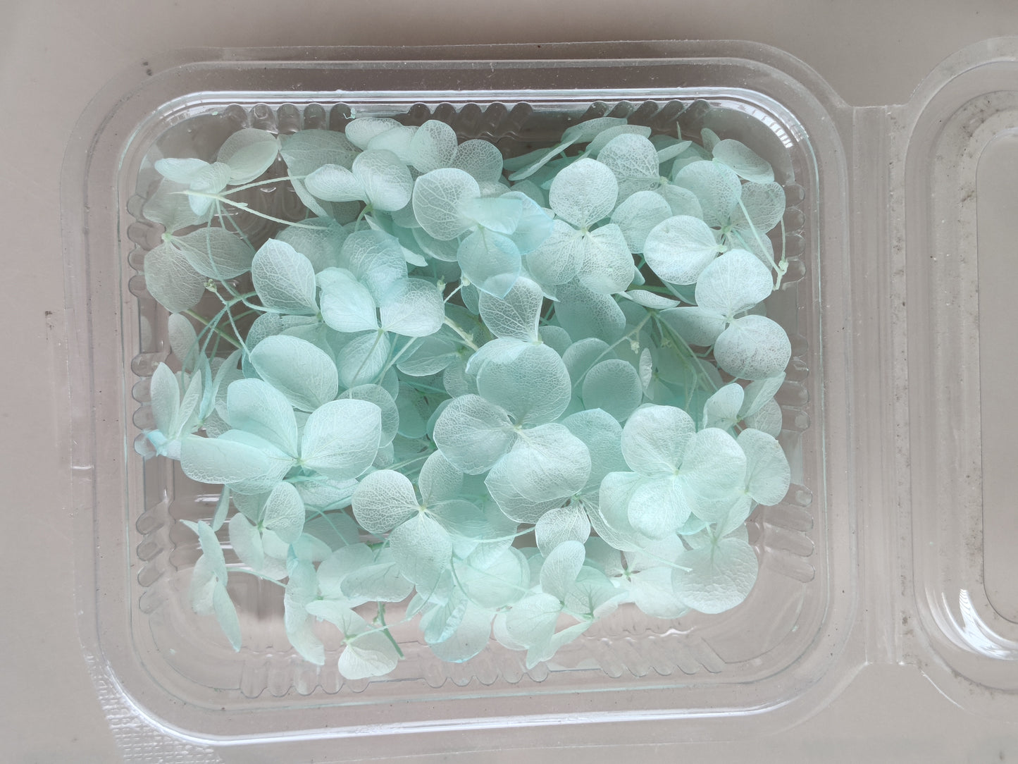 Hydrangea flowers small box