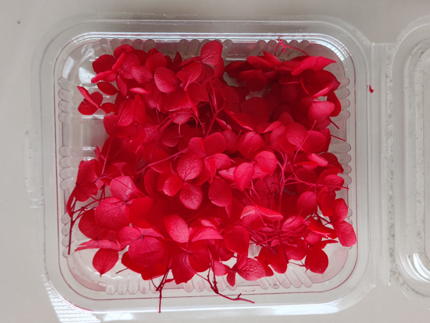 Hydrangea flowers small box