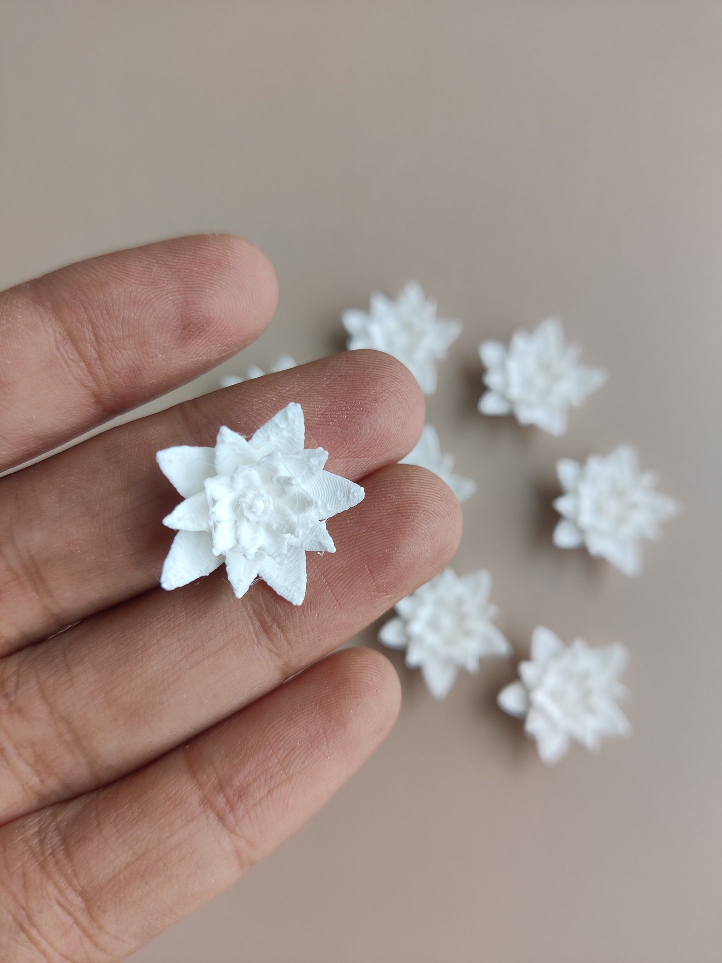 Lotus pond flower miniature