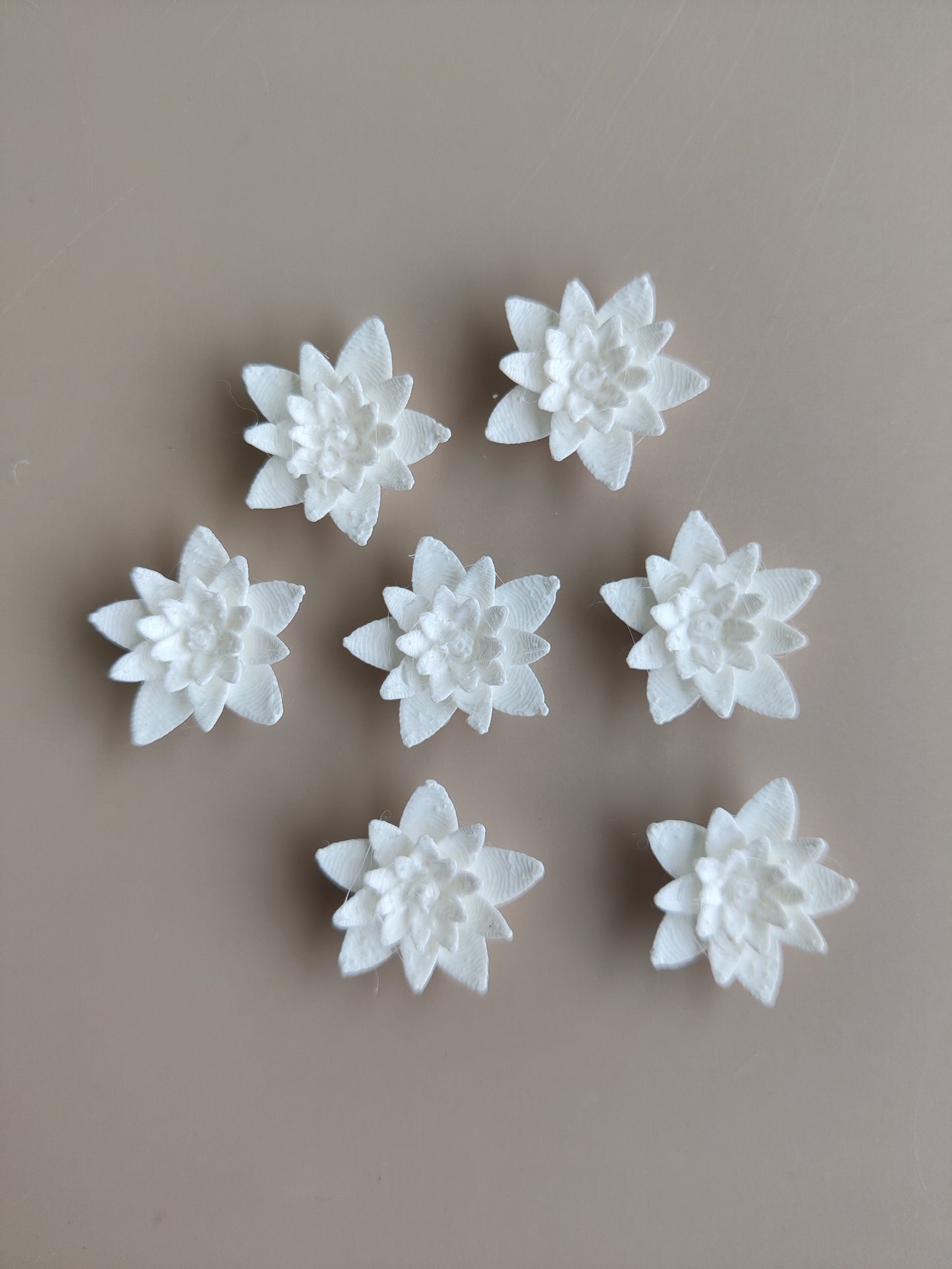 Lotus pond flower miniature